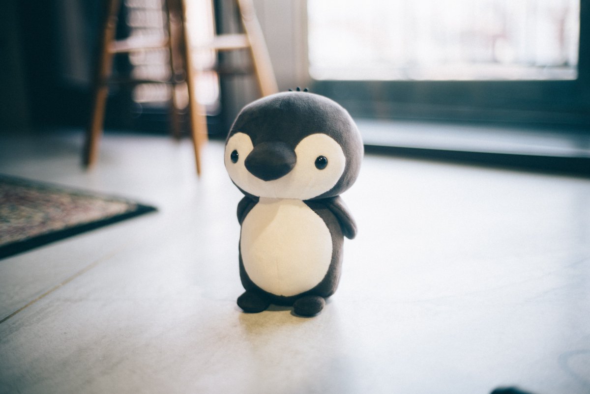 TK グッズ情報】 5/20 21時より「TKPGぬいぐるみ」の通販を開始致し