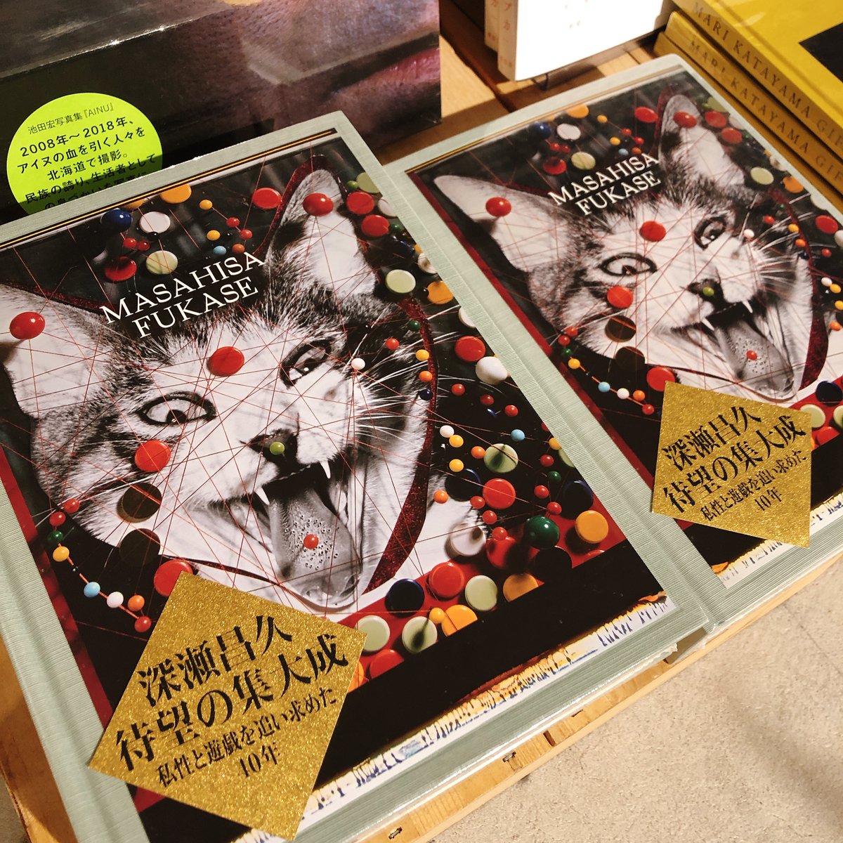 6FART】瀬戸正人 著「深瀬昌久伝」入荷してます。日本カメラにて連載