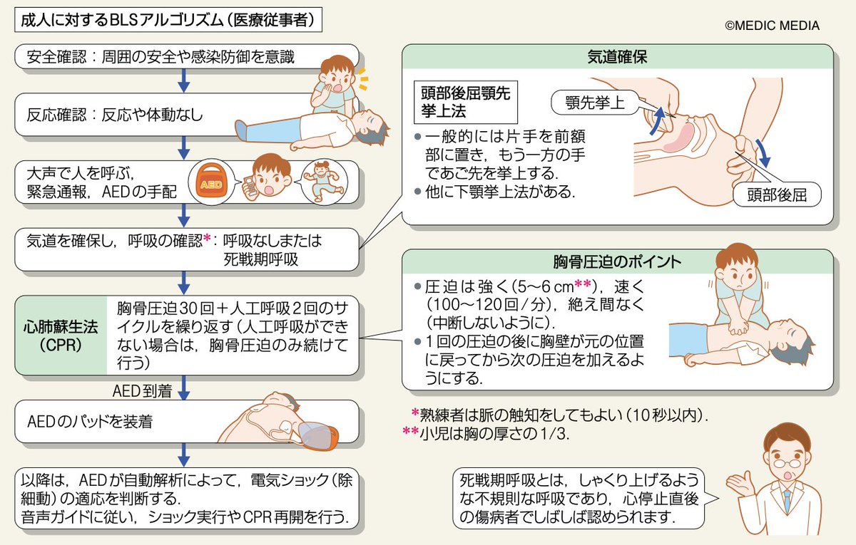 一次救命処置（BLS）】心肺停止を疑う傷病者を発見したら、BLSの手順に