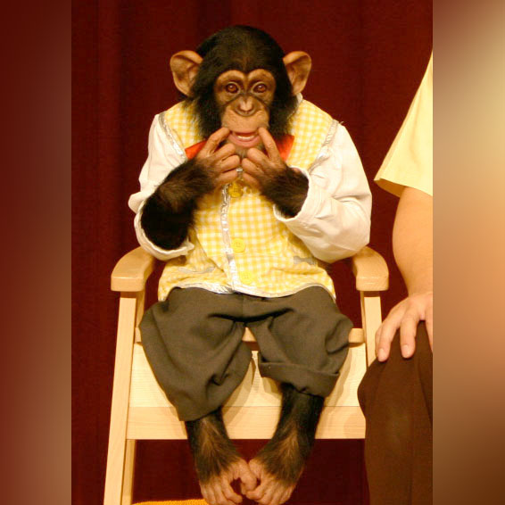 FAmfSUOUcAAorJg.jpg?format=jpg