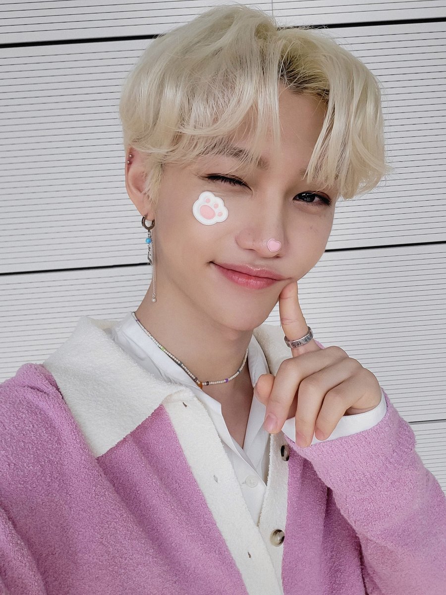 STAY！ にゃんこたちのメッセージはいかがでしたか？😸 すべての