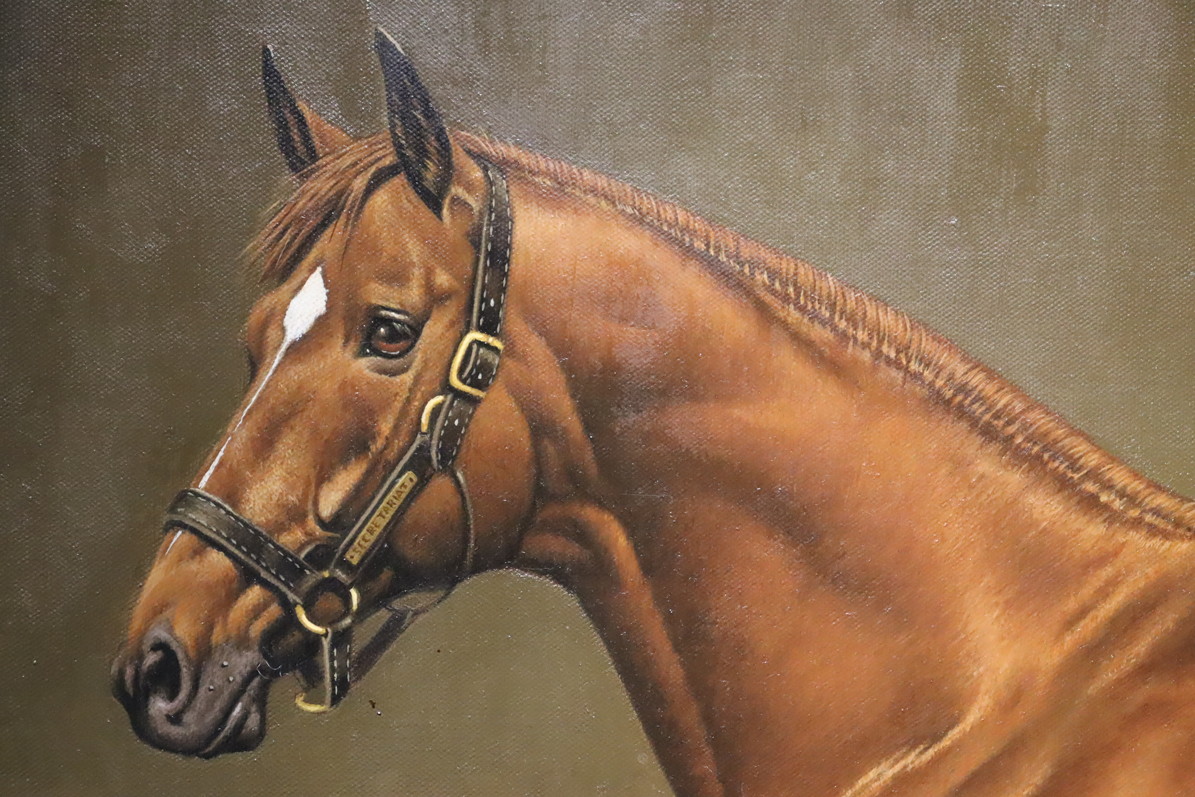 特別展「長瀬智之展 肖像画に生きる永遠の名馬たち」開幕しました✨（8