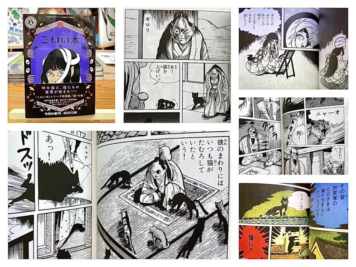 楳図かずお こわい本シリーズ猫の巻…何ともいえない昭和感＆ホラー