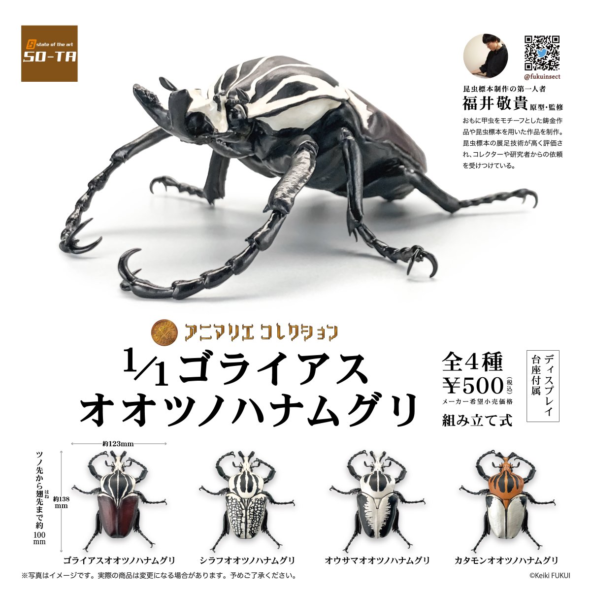 1/1 ゴライアスオオツノハナムグリ 』 12月下旬発売予定 SO-TAさんより