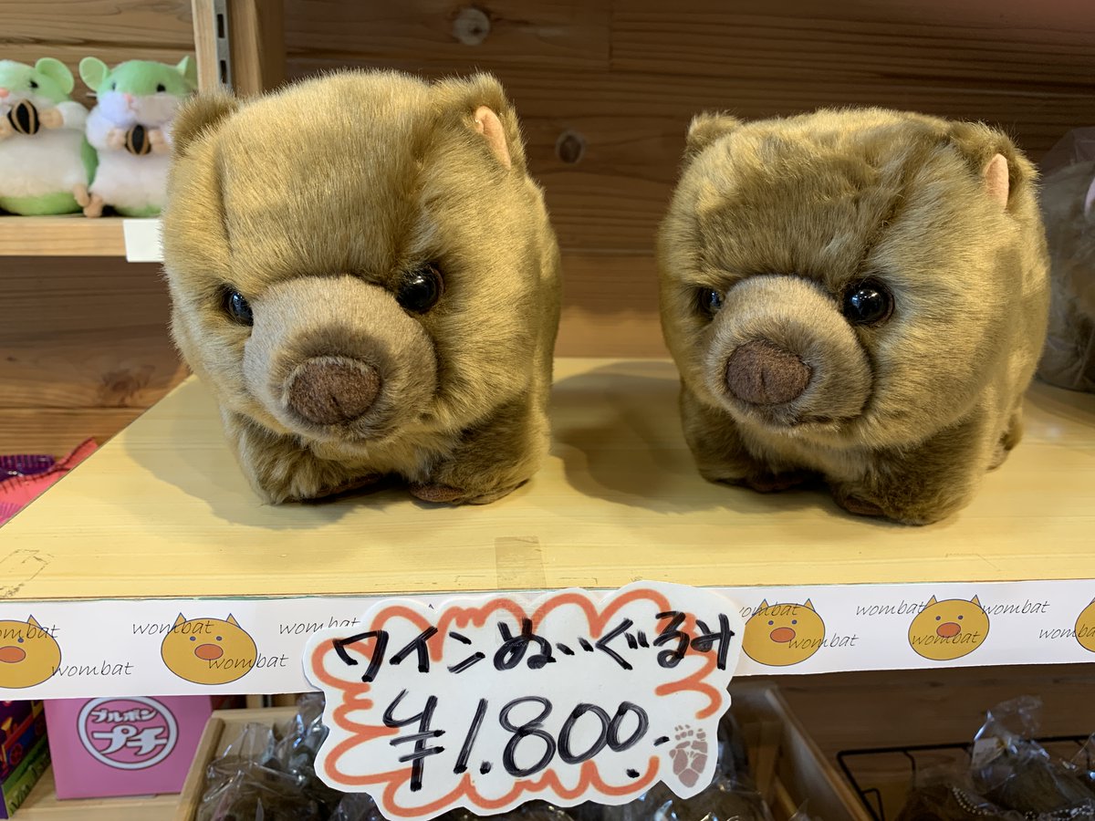 お待たせいたしました。ワインさんのぬいぐるみが入荷しました！1個