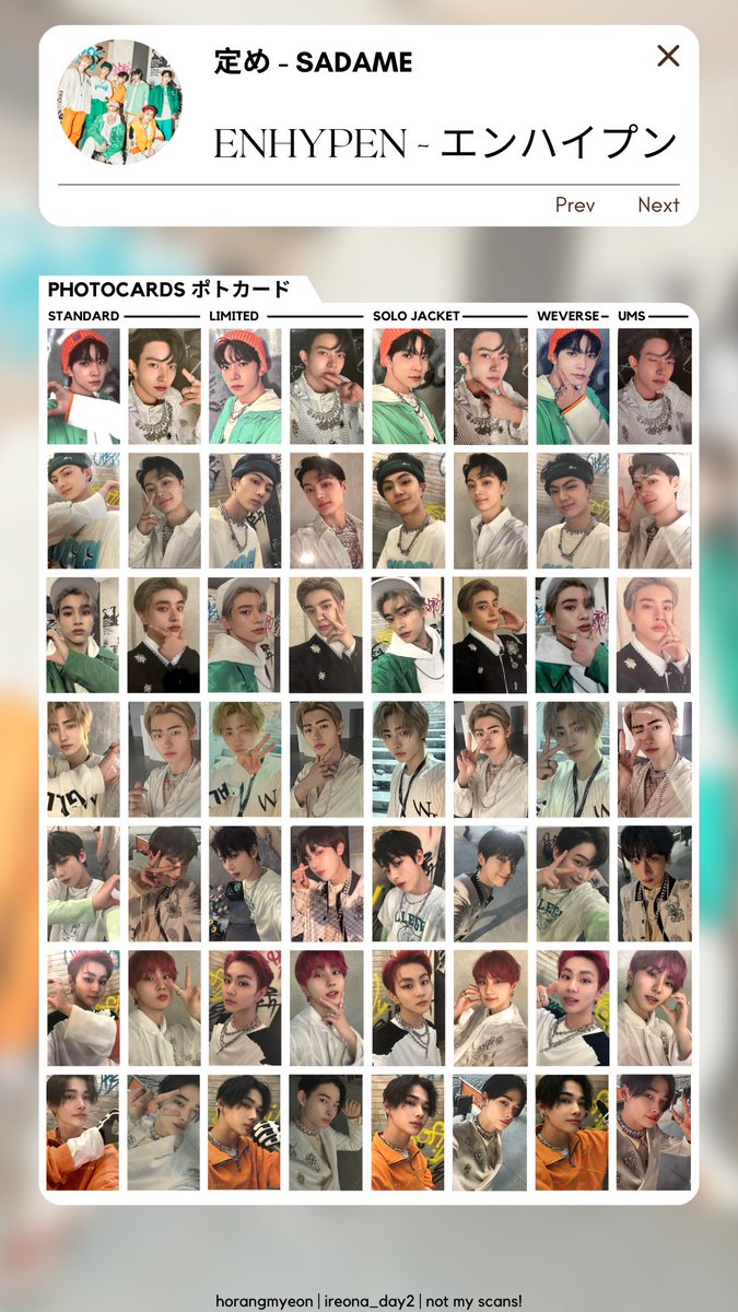 enhypen ot7 sadame 定め photocard template エンハイプン 定め
