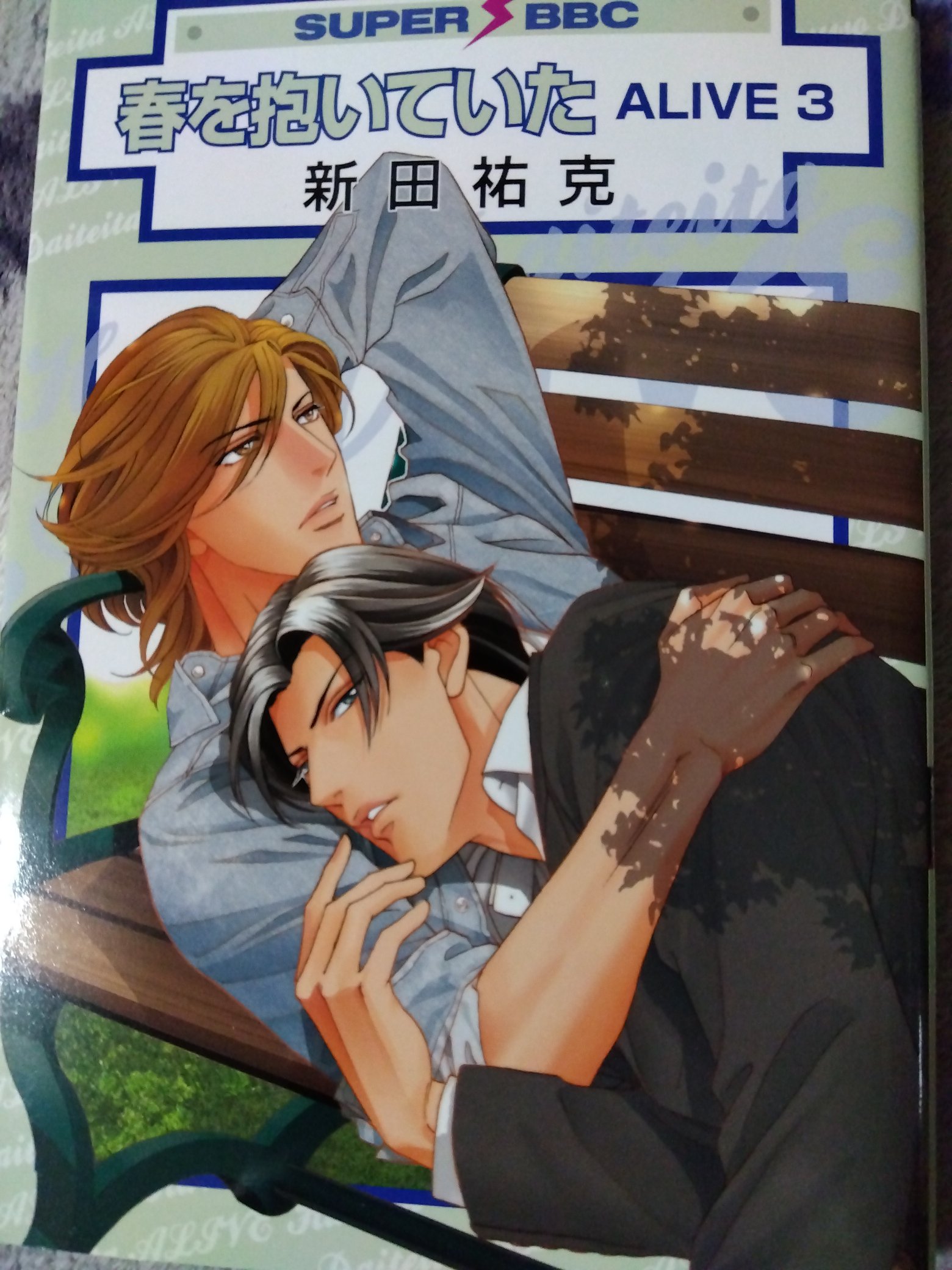 年末年始限定！春を抱いていた キャラアートグラフB 新田祐克 年末年始