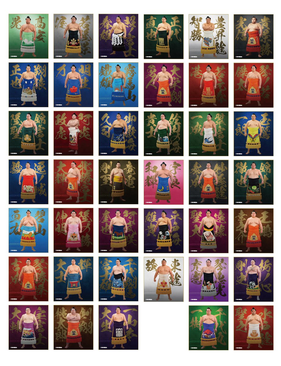 公式売店グッズ紹介／ 【力色紙（りきしきし）】 幕内力士41名のミニ