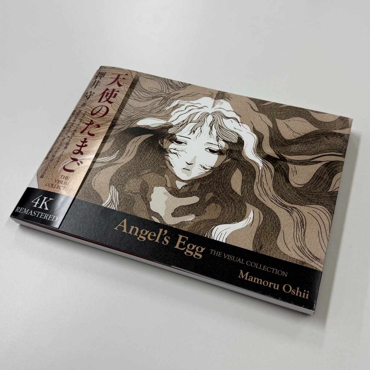 全国の劇場12か所で先行発売中！ 『天使のたまご THE VISUAL