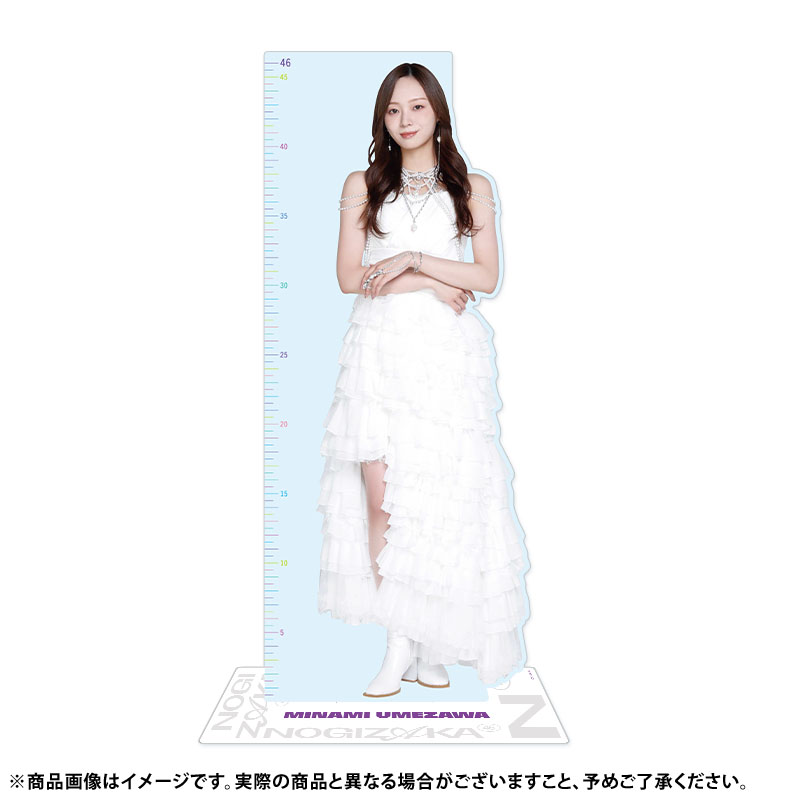 乃木坂46 個別46cmアクリル定規スタンド 2026 福袋C 遠藤さくら