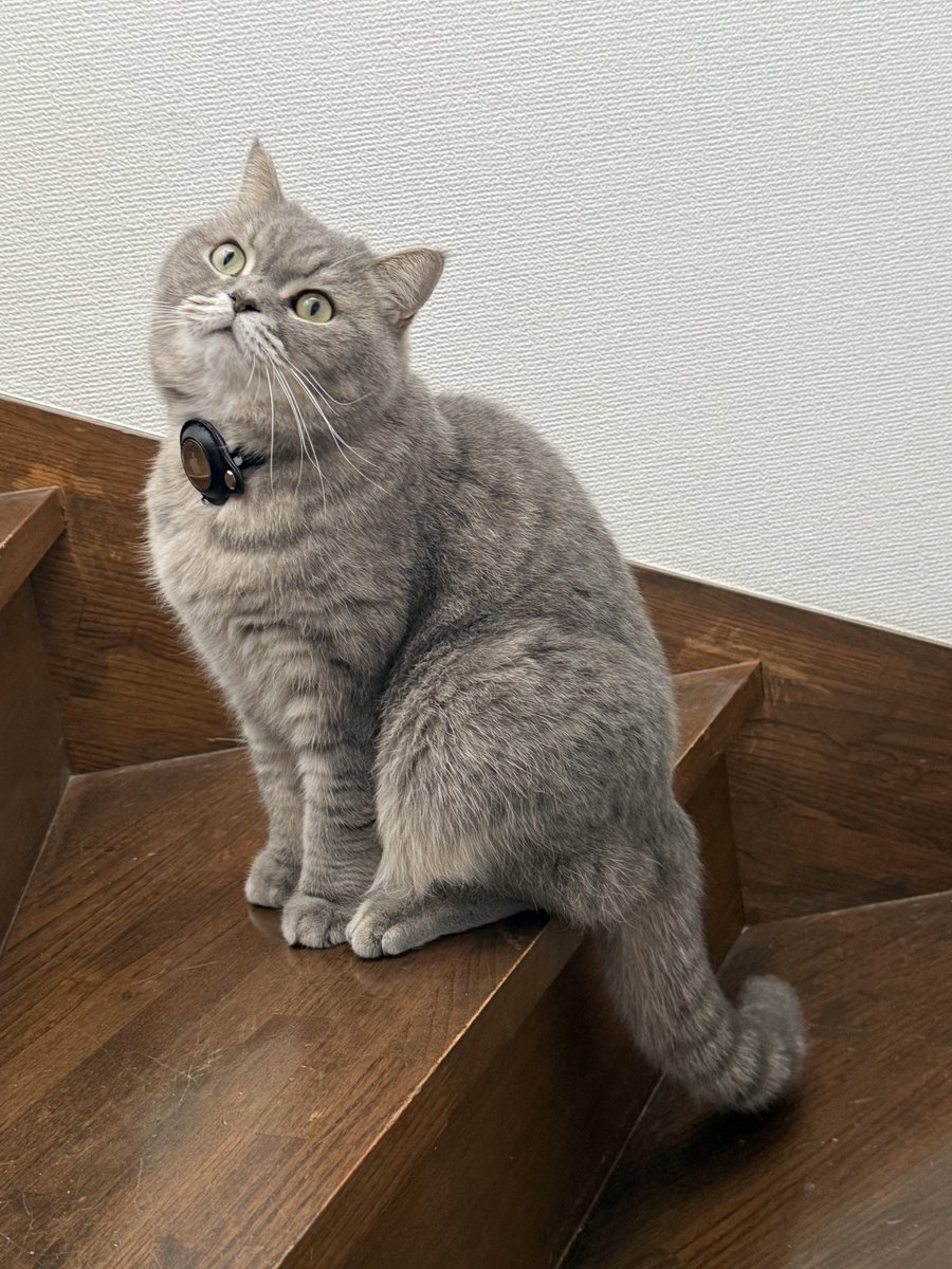 いわし先生 (@IWASHI_0723) / Posts / X