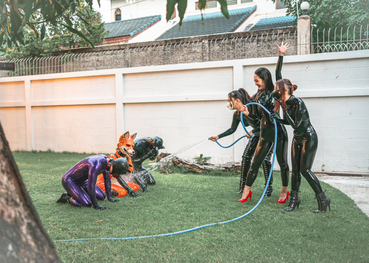 Kinako (@k17ko6m0t1) / Posts / X