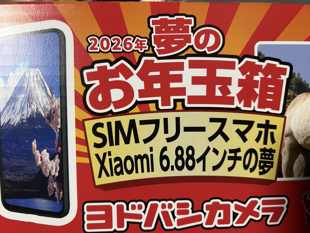 ヨドバシカメラ ヨドバシカメラ 夢のお年玉箱 Xiaomi6.88インチの夢