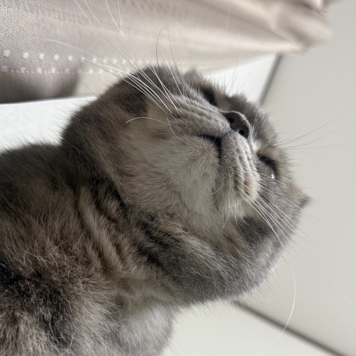 いわし先生 (@IWASHI_0723) / Posts / X