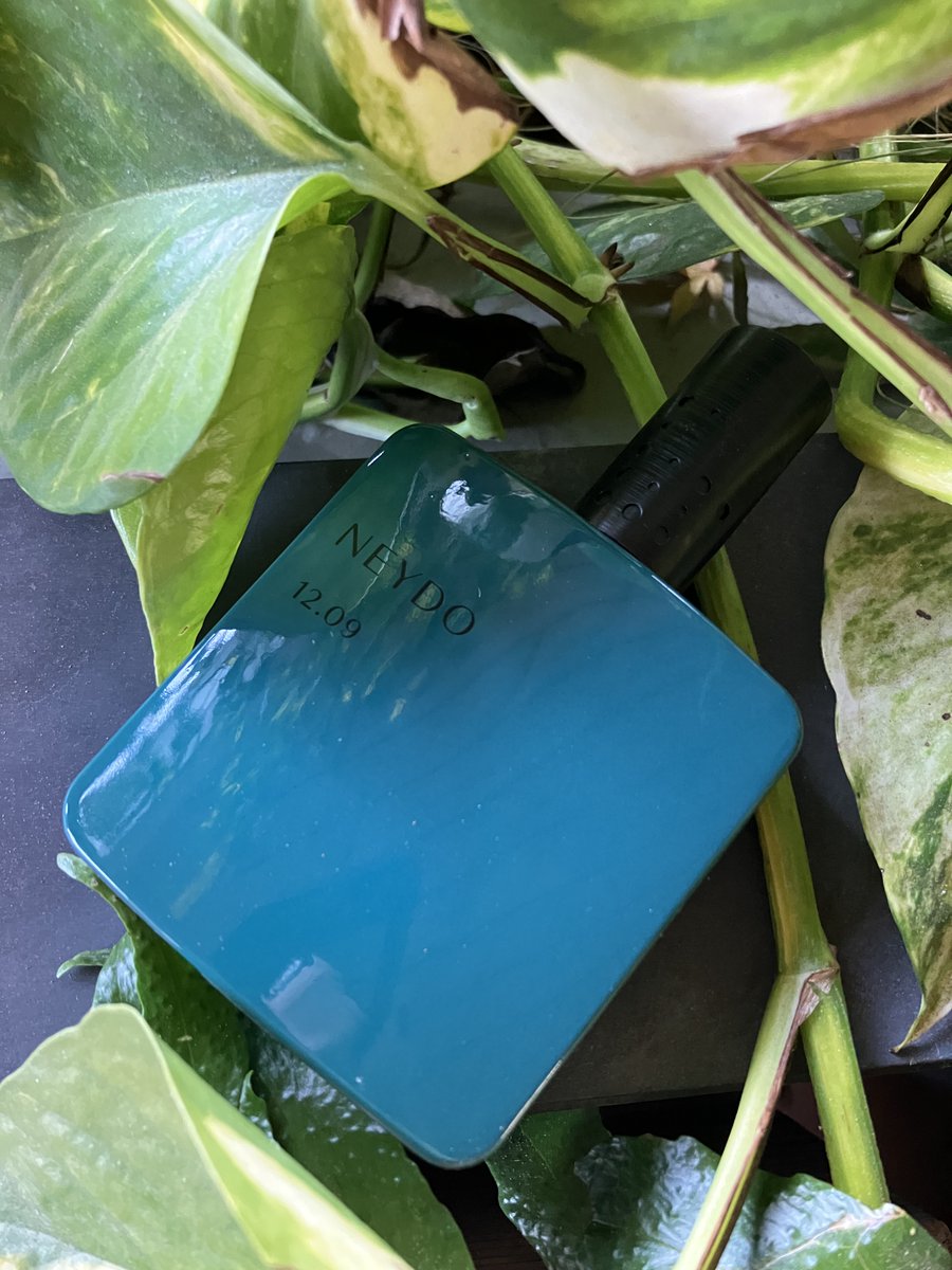 Neydo｜モスランド 12.09 しっとりと濡れた木々の間、ジュニパーベリー