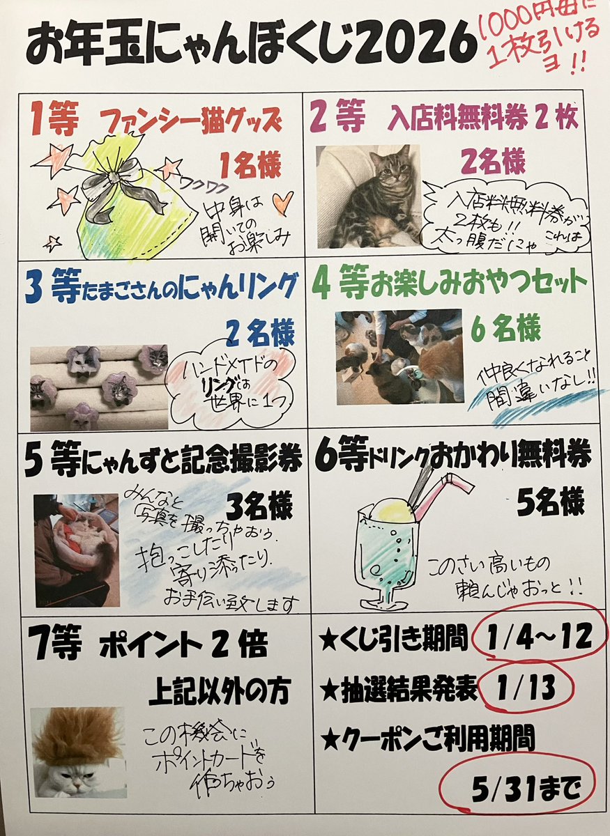 お年玉にゃんぼくじ2026 抽選結果 今年も【あみだくじ】という 原始的