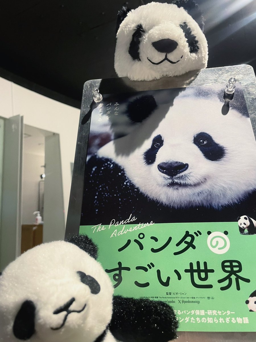 はじめまして！ 映画『#パンダのすごい世界』 宣伝大使の