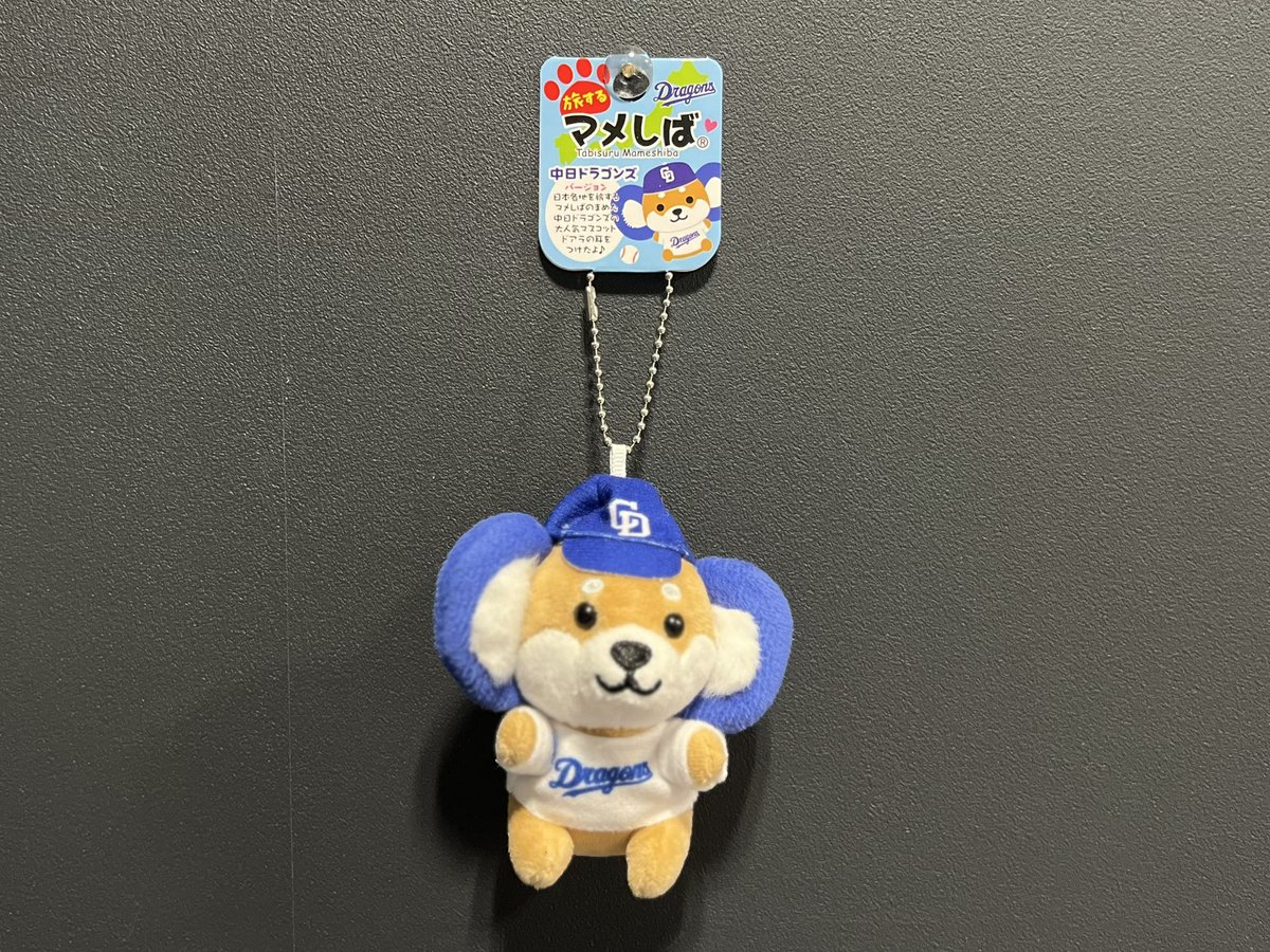 再入荷情報🐨 ＼ 『マメしば』1,540円(税込) 大人気の旅するマメしばの