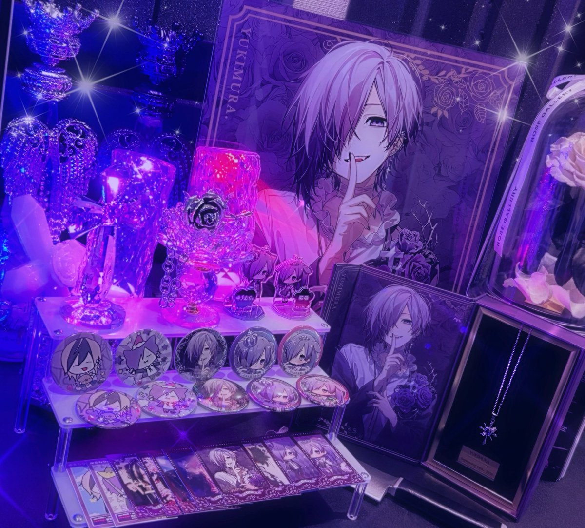 ╋━─ グッズ参考画像 ─━╋