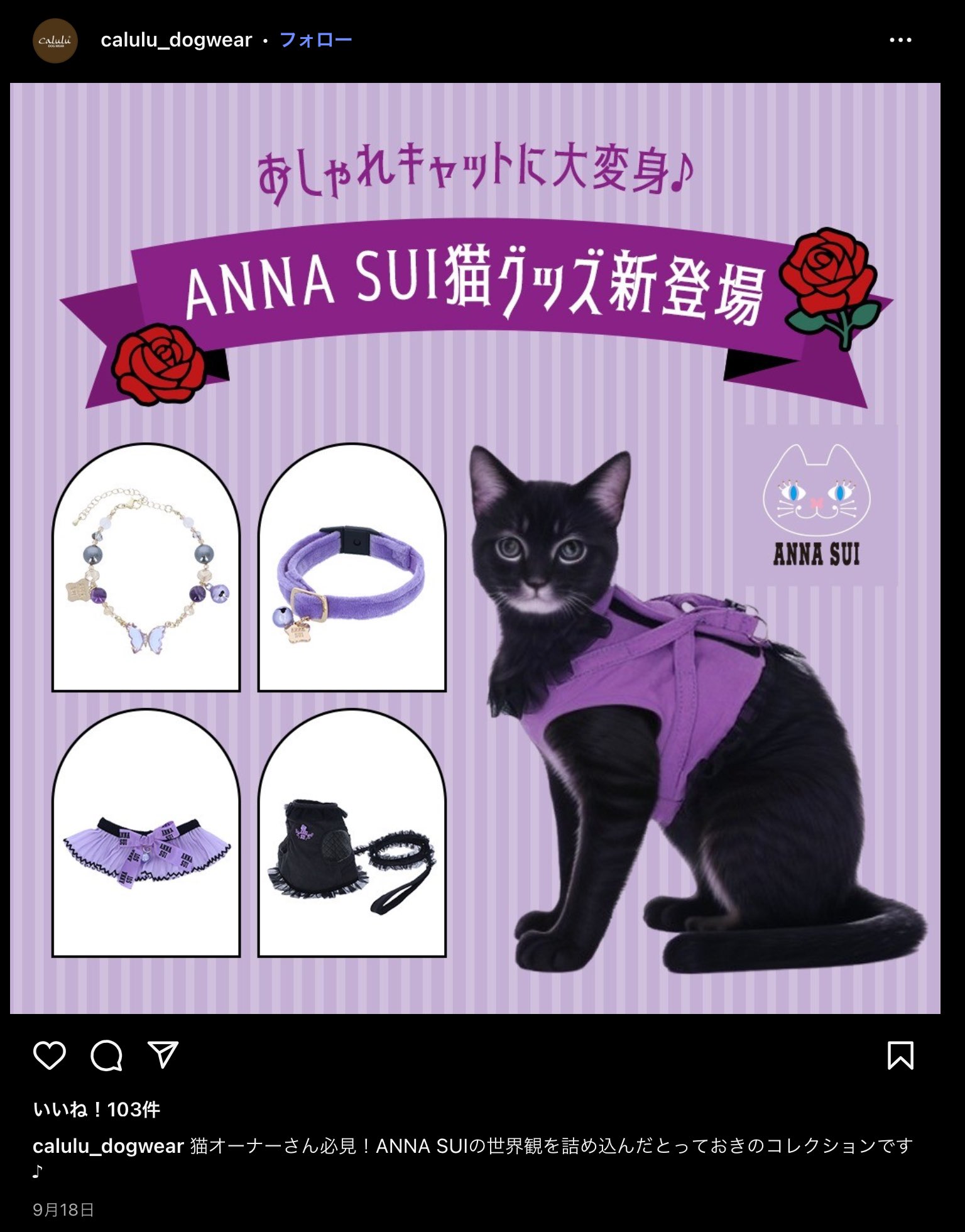 黒猫様 専用ページ 黒猫様専用ページ 黒猫様専用 公式通販