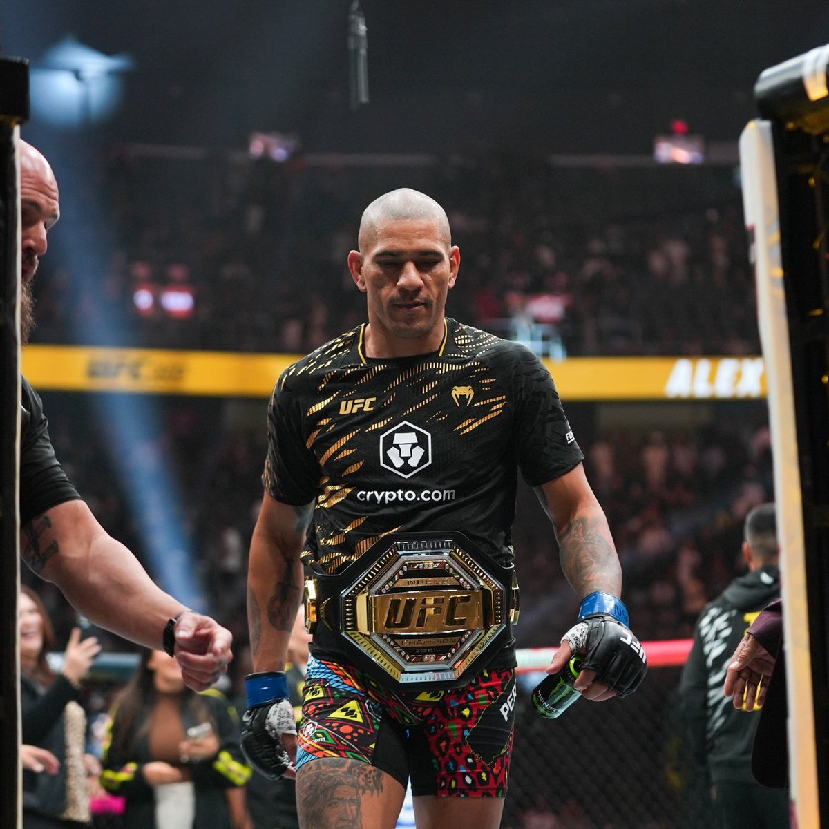 王者の帰還🗿 アレックス・ペレイラ🏹 #UFC320