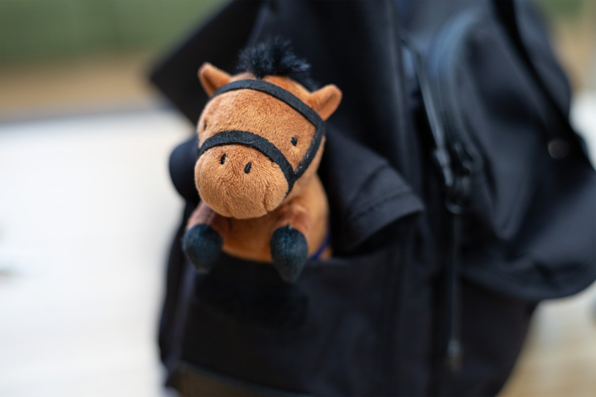 🏇プライズ新商品🏇 ／ #サラブレッドコレクション ちょこがけ