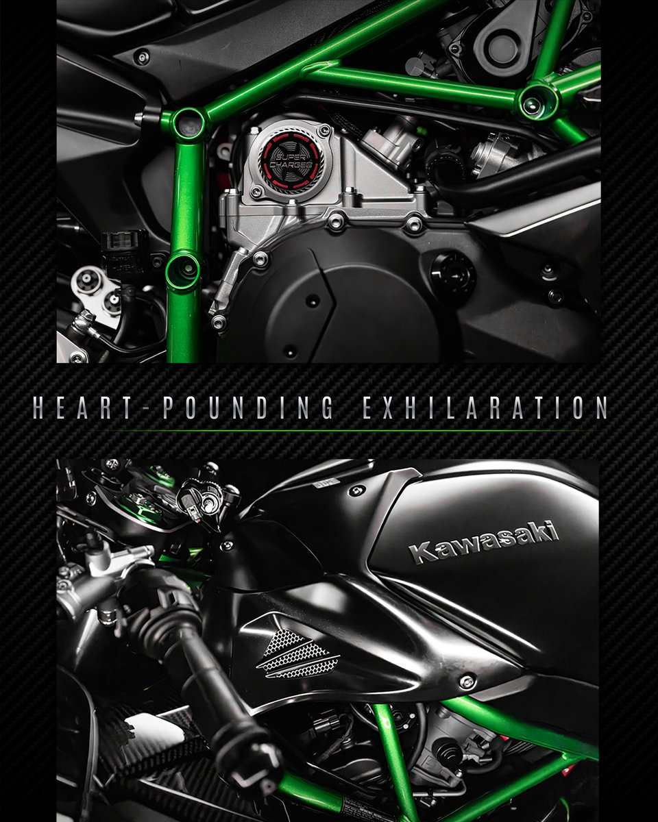 This lineup of limited-production legends can be yours for a