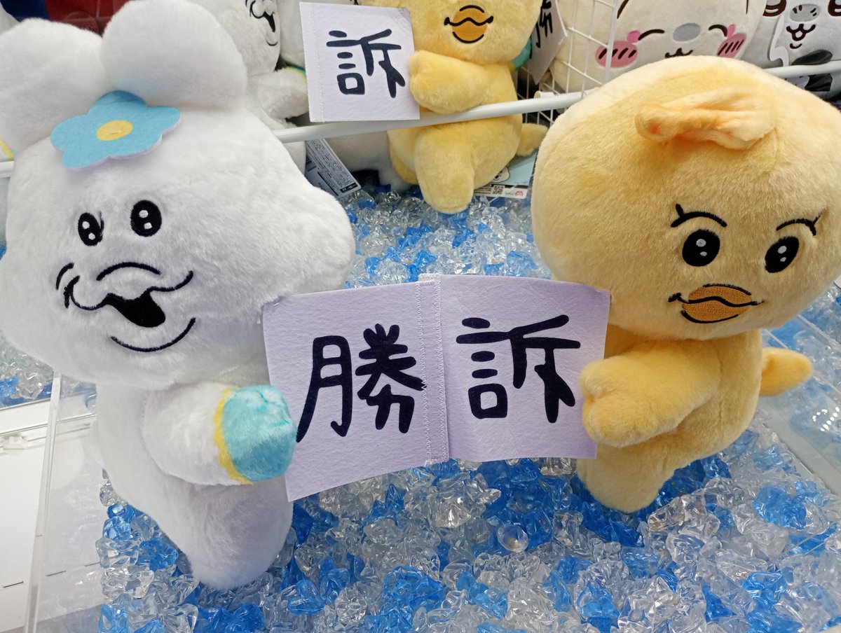 AMプライズ情報】 んぽちゃむマカロン法律事務所BIGぬいぐるみ 投入