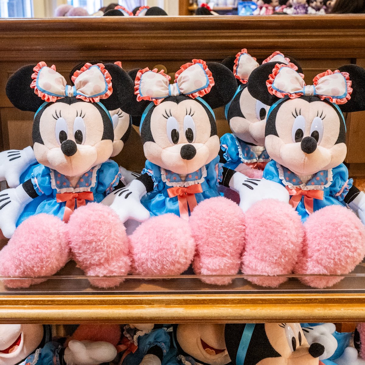 東京ディズニーランド 