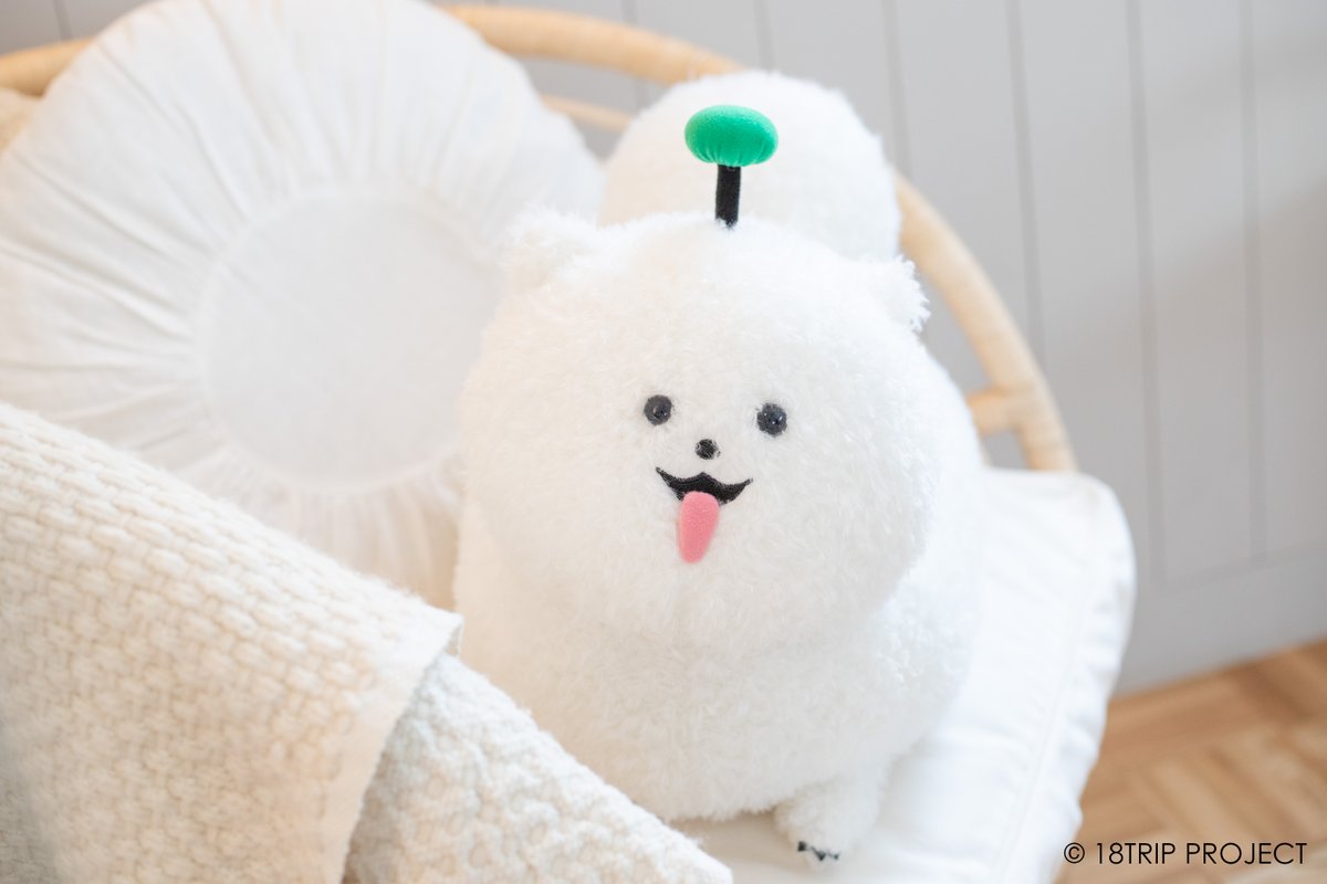 GwmY2eJbUAAzCTm.jpg?format=jpg