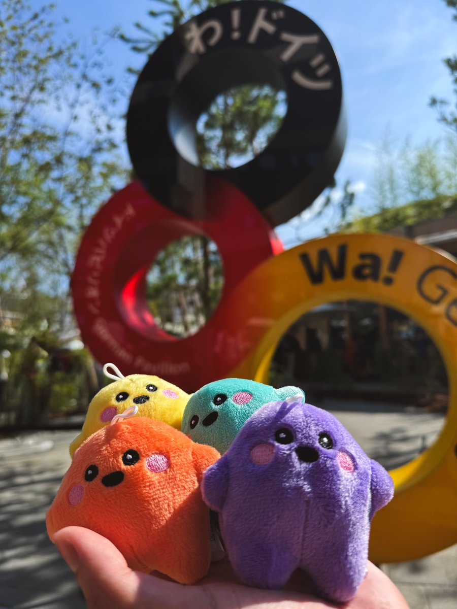 ついに！念願の！ サーキュラーちゃんぬいぐるみを！ お迎えした