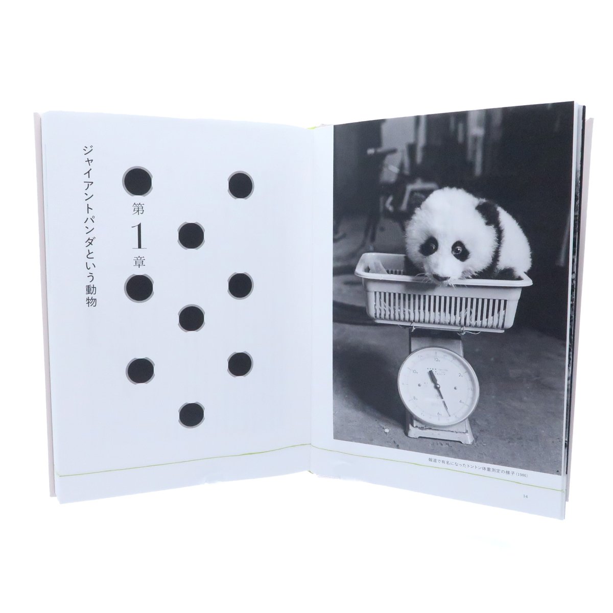 園内ギフトショップより】 「つなぐ ジャイアントパンダ飼育の50年