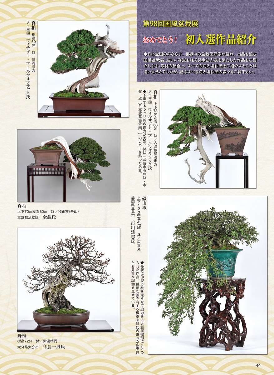 国風盆栽展 第58回〜第75回 (第74回は中抜け) 計17冊