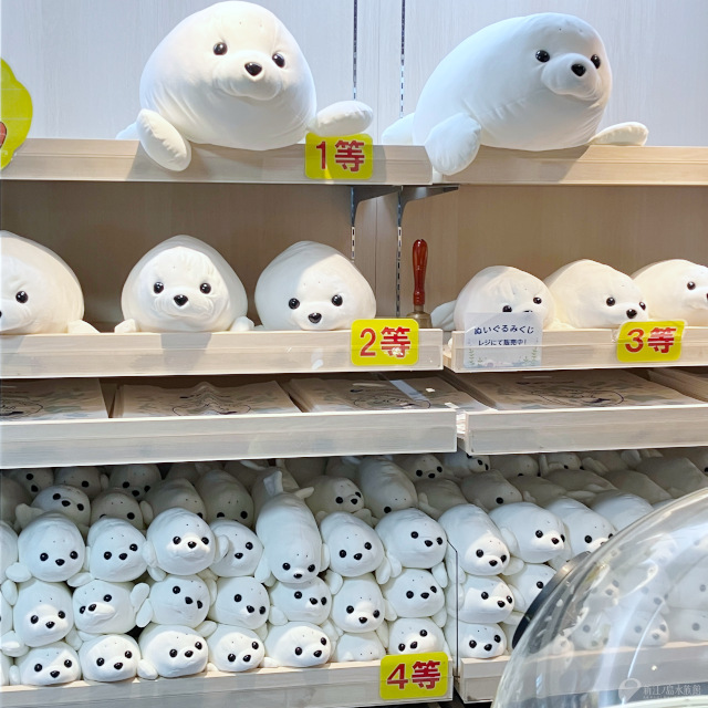 しばらく欠品していたアザラシぬいぐるみクジ🥠 「ホワイト」が本日6月