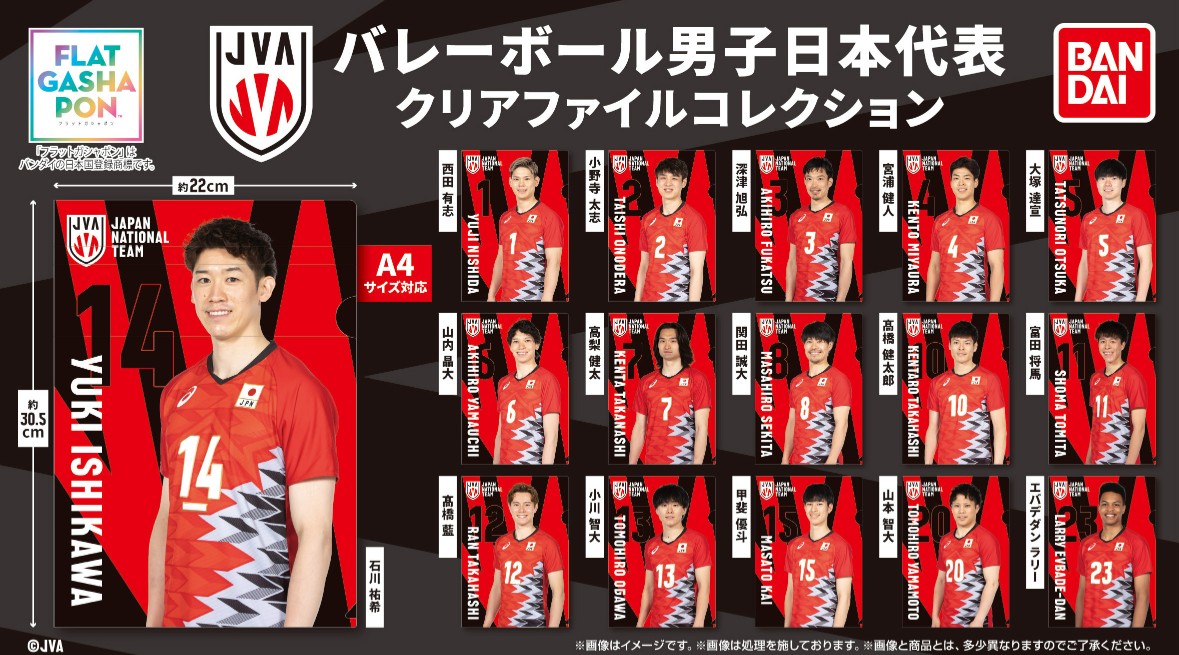 商品情報】 ／ 【フラットガシャポン】 バレーボール男子日本代表
