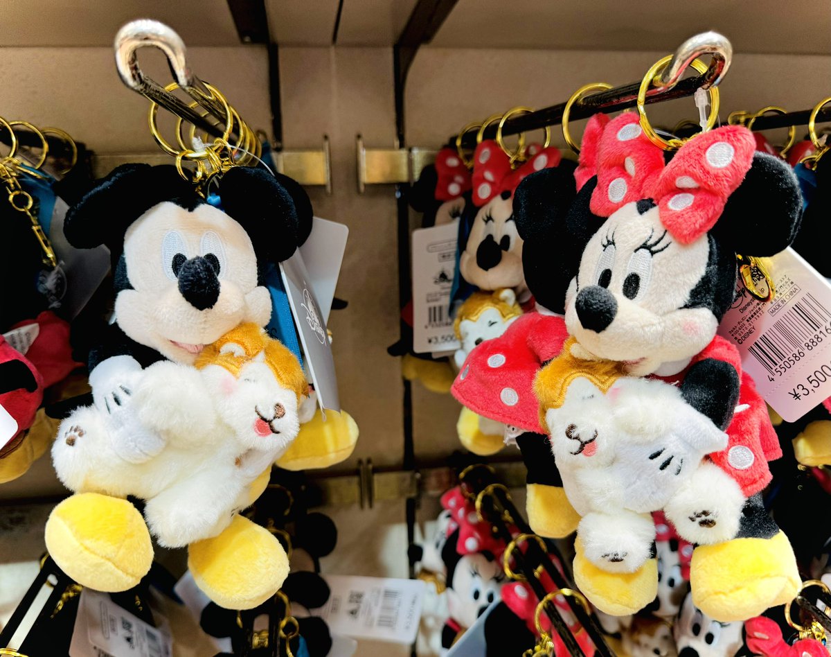 ディズニーストア渋谷公園通り店限定✨ ハチ公（秋田犬🐕）を抱っこし