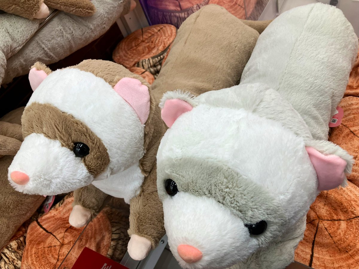 プライズ】新景品🌟「くったりロングフェレット超超ウルトラBIG」が