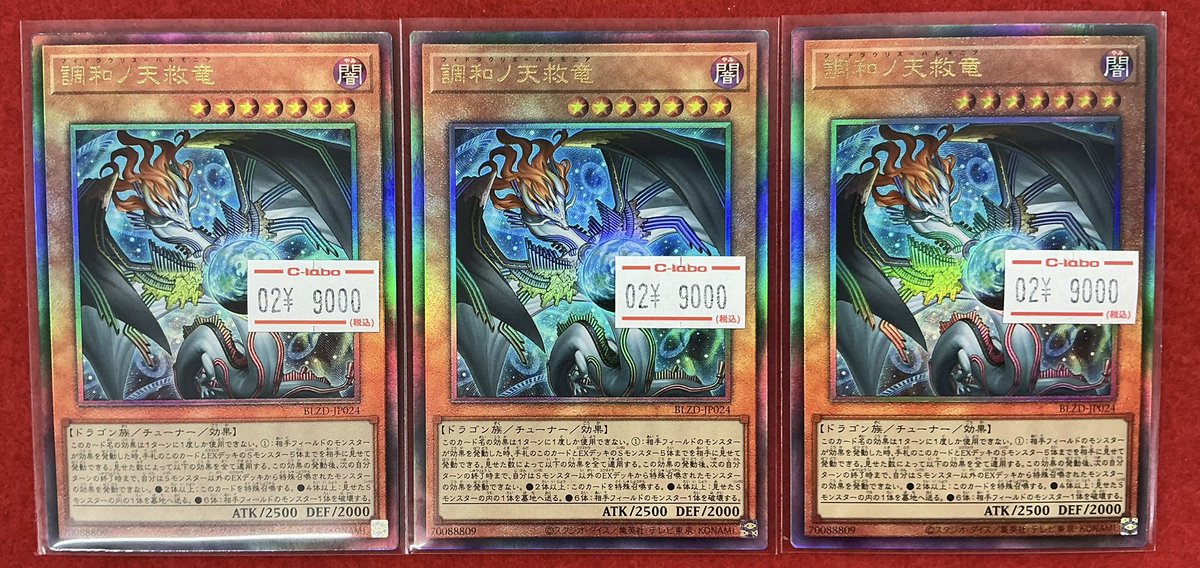 遊戯王 調和の天救竜 レリーフ 2枚セット 遊戯王 調和ノ天救竜