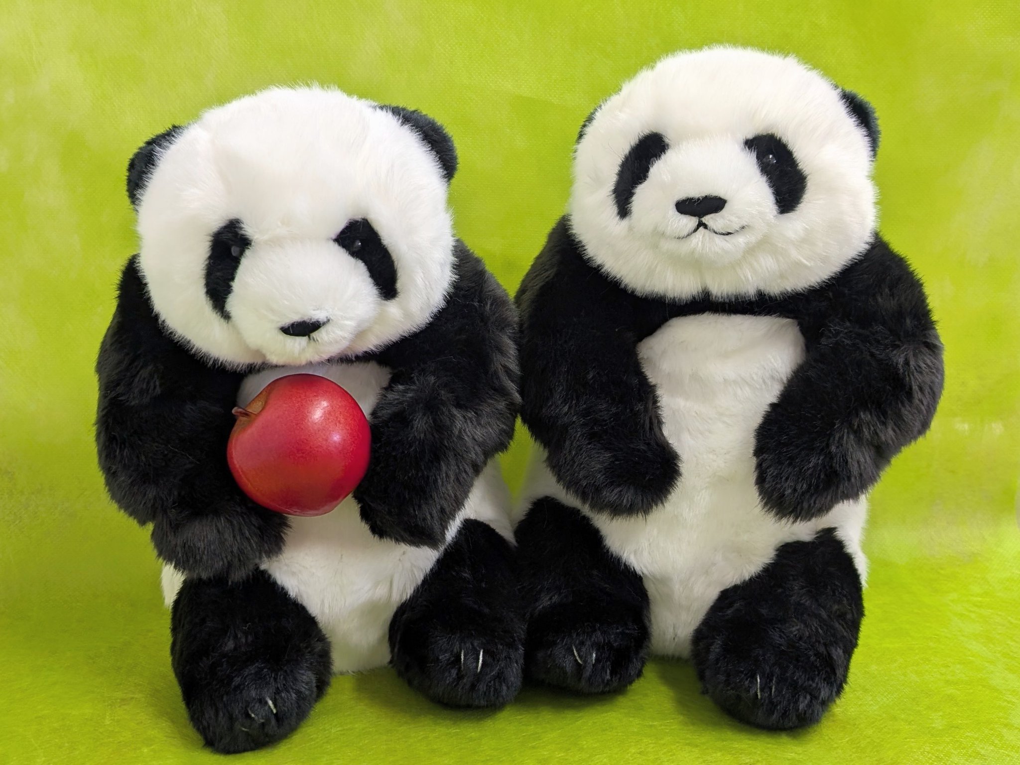 い*ご様 シャオシャオ＆レイレイ ぬいぐるみ クリアファイル 3点セット