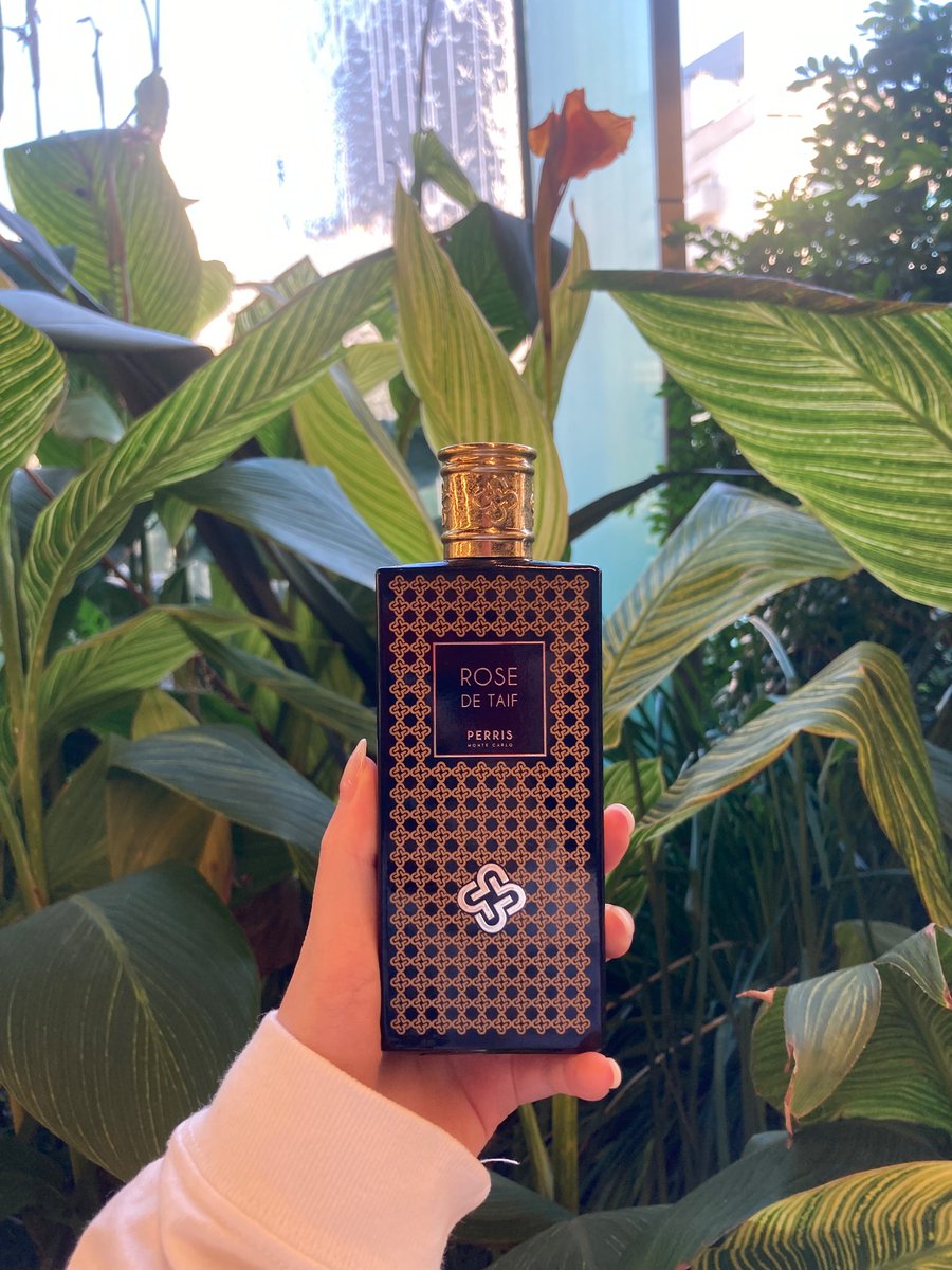Perris Monte Carlo｜ローズ ドゥ タイーフ これはバラの生命の香り