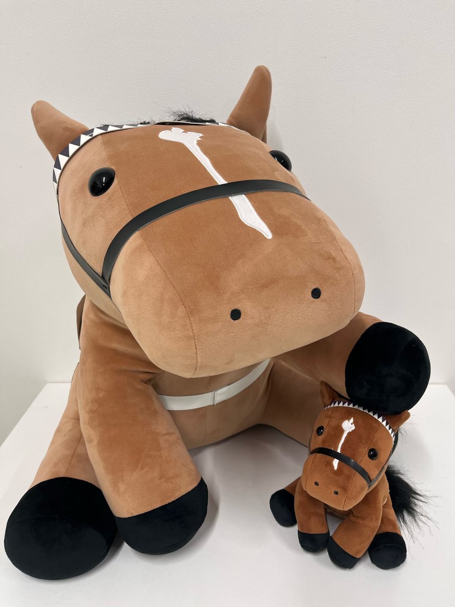 アイドルホース 情報解禁‼ もちもちビッグな大人気シリーズ💞 アイドル