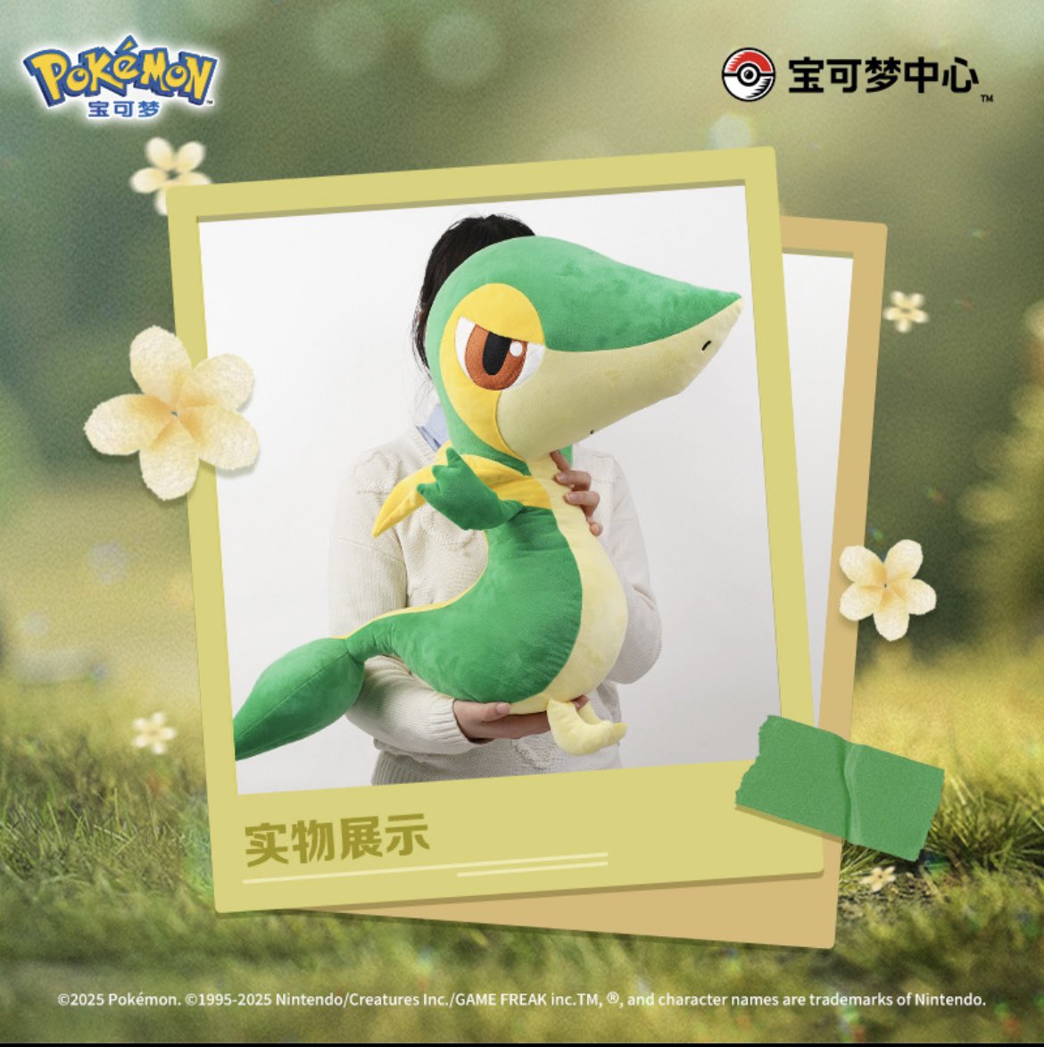 2012年製 等身大ツタージャポケモンセンター 初夢