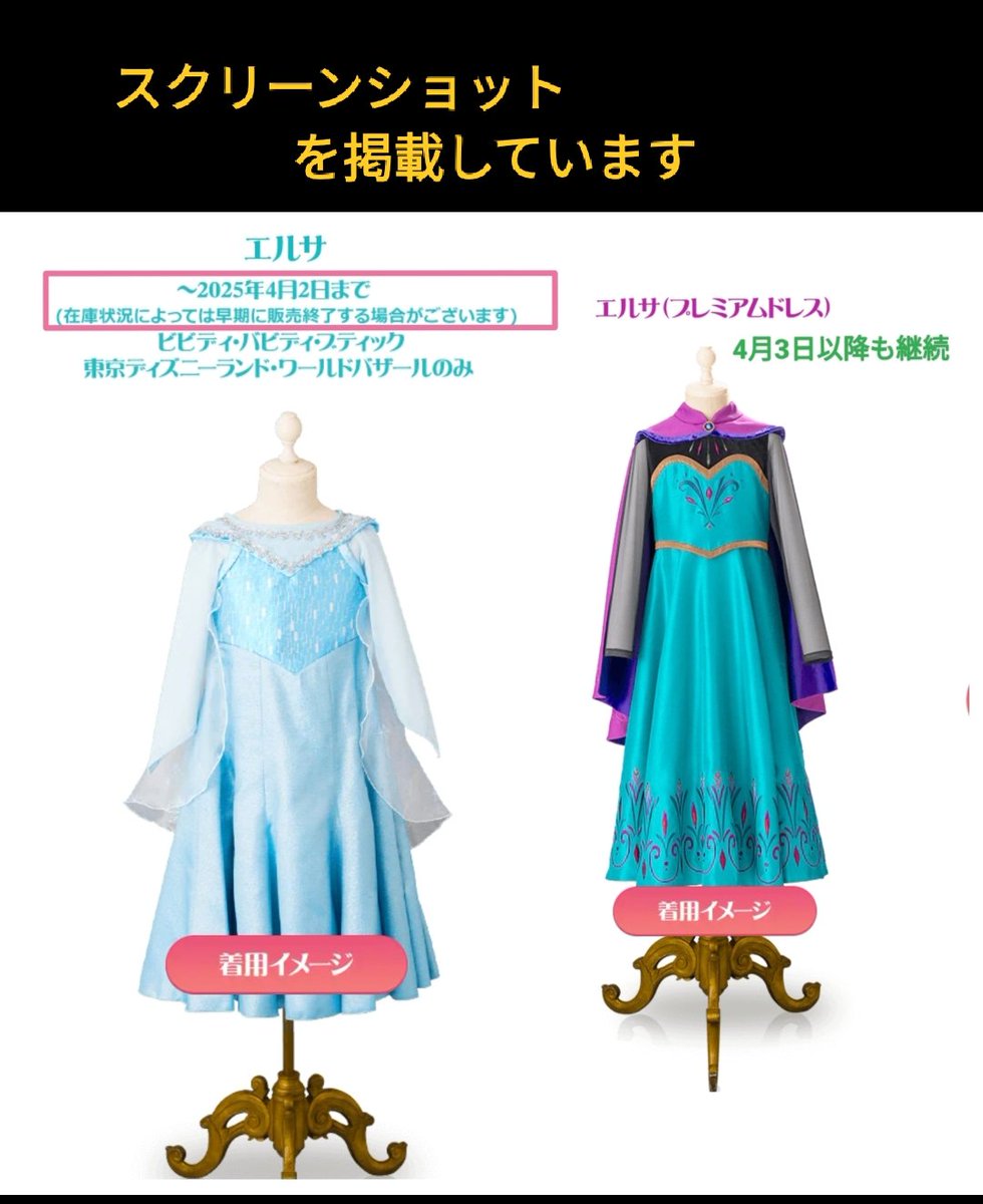 4月2日 販売終了 〉陸 ビビディ エルサ ドレス 東京ディズニーランド