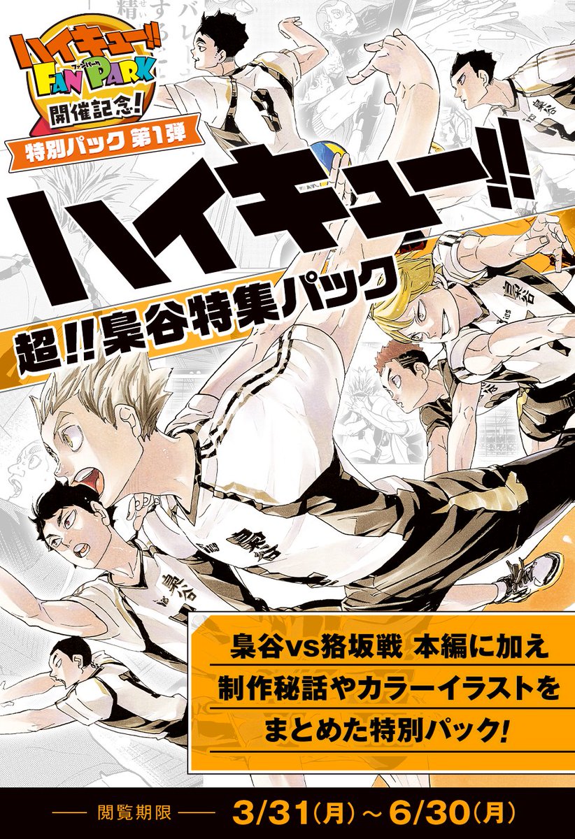 □特別パック ハイキュー!!のマンガやカラーページを集めた特別