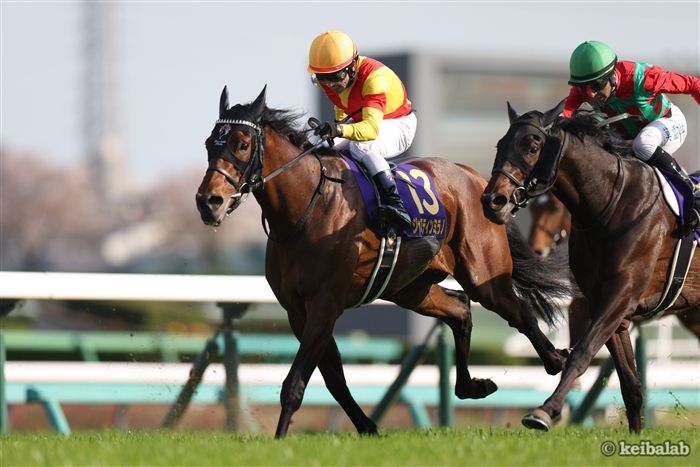 絆の結晶が生まれた日】 本日4月9日は、皐月賞馬ジャスティンミラノの