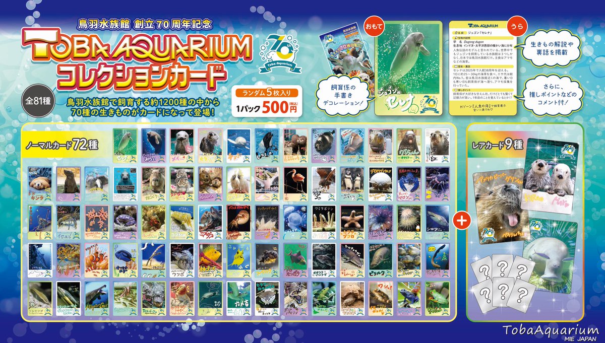 TOBA AQUARIUMコレクションカード』5/1(木)より発売決定❣️ 創立70