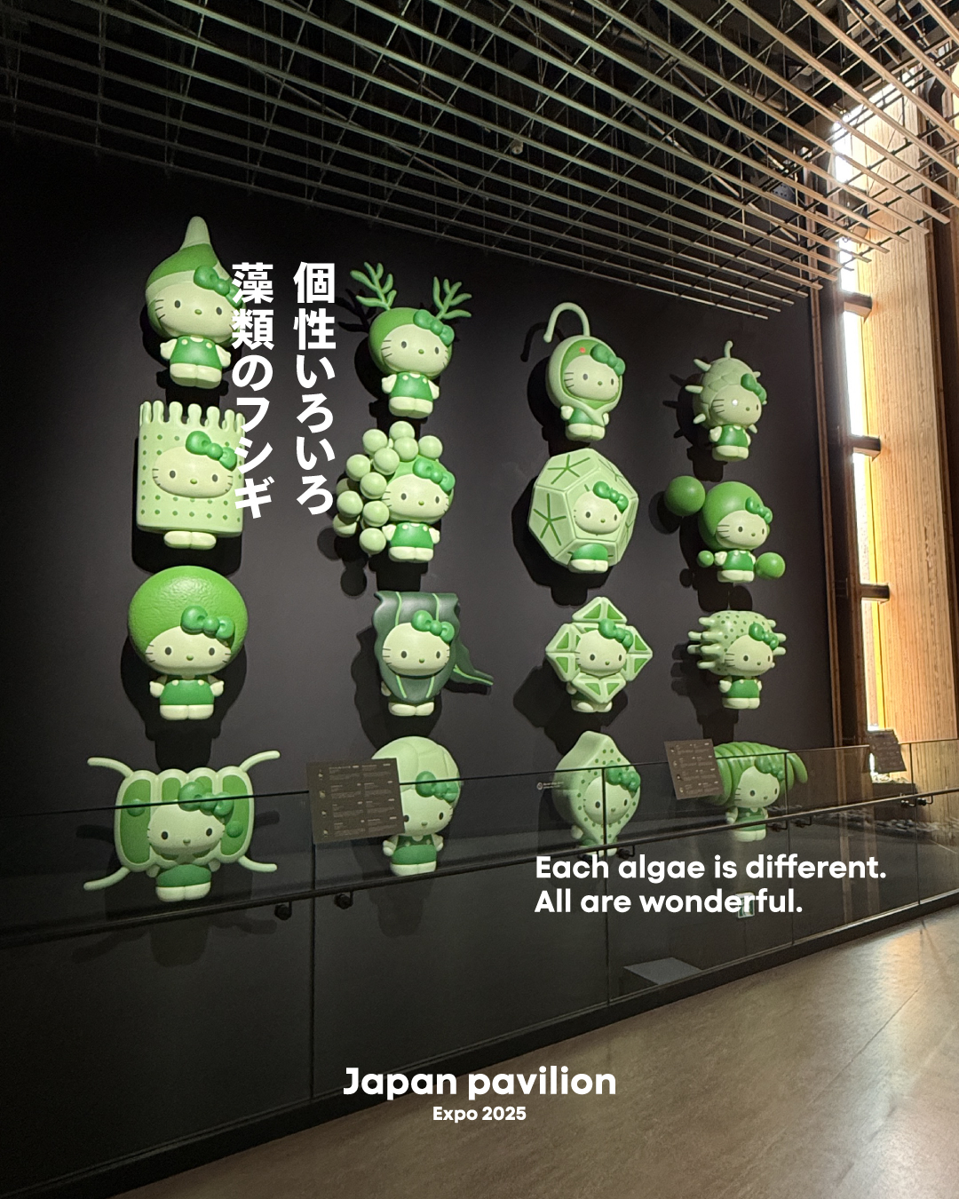 万博 藻キティちゃん 2025 コンプリート コンプリート 藻キティ 万博