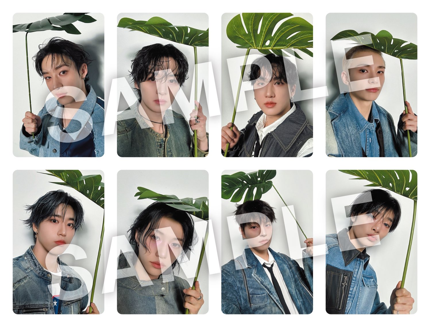 スキズ エコパ 5/17 アイエンCD予約特典 B賞 直筆サイン入りチェキ