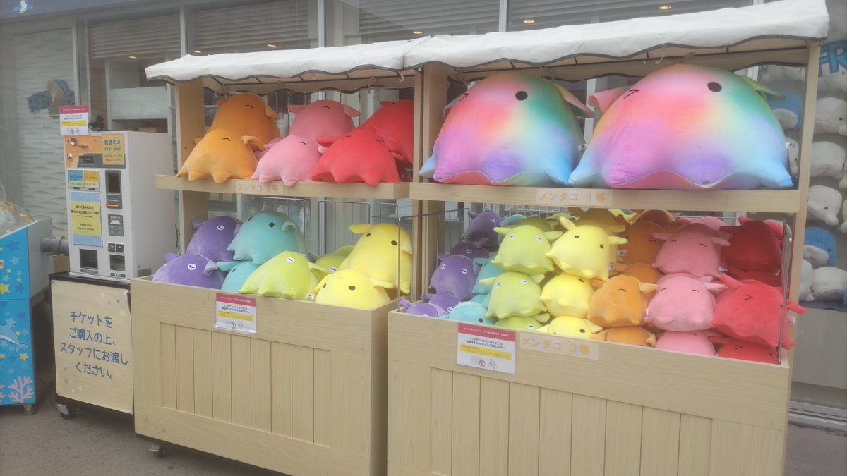 シーパラのぬいぐるみくじ、期間限定でメンダコになってた‼️ そして1