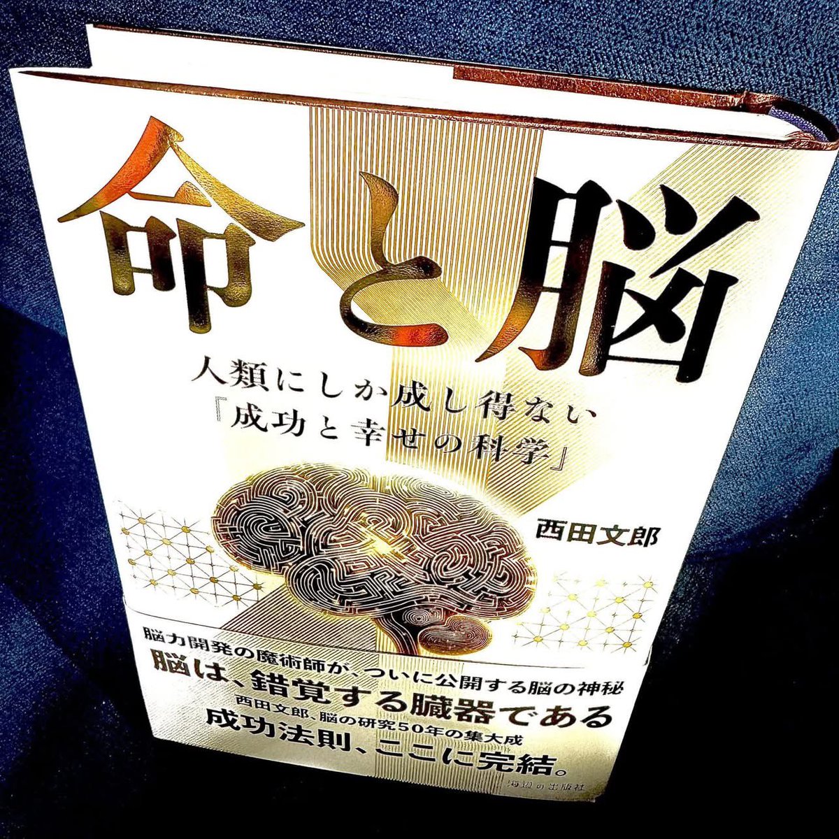 経営者・必読の書 脳は錯覚する臓器である！ 「強運の法則」 「天運の